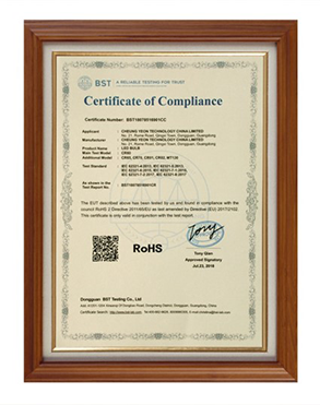 certificate 2.png